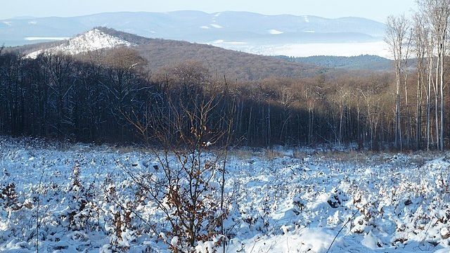 Záhady pohoří Tribeč, o nichž byl natočen film Trhlina, si vymyslel bloger. Lidé jim ale dosud věří - Médium.cz